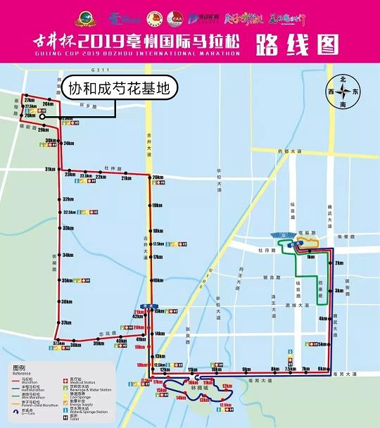 无码免费人妻A片AAA毛片西瓜